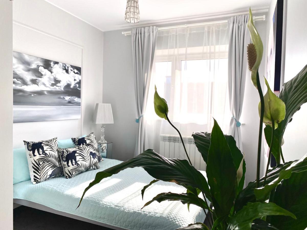 Dream Boutique Apartment 42M2 In The Heart Of Cracow Old Town 克拉科夫 外观 照片